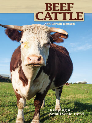 cover image of Beef Cattle